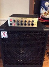 Eden WTX-264 Bass Guitar