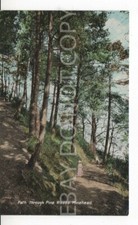 * Postcard  Path through the