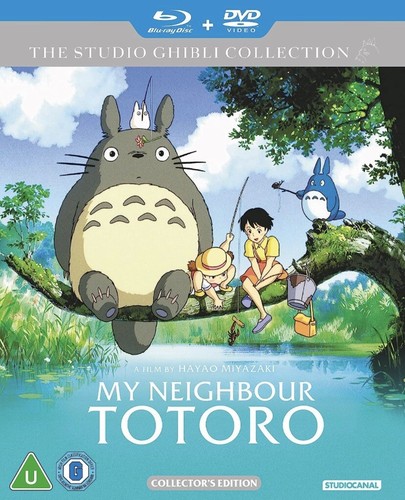 Neighbour totoro - my,