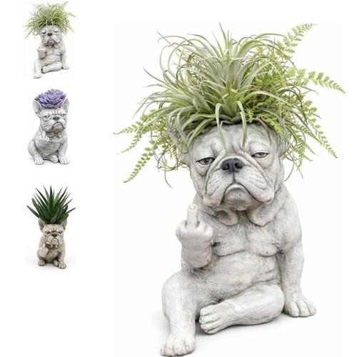 Funny french bulldog - french,