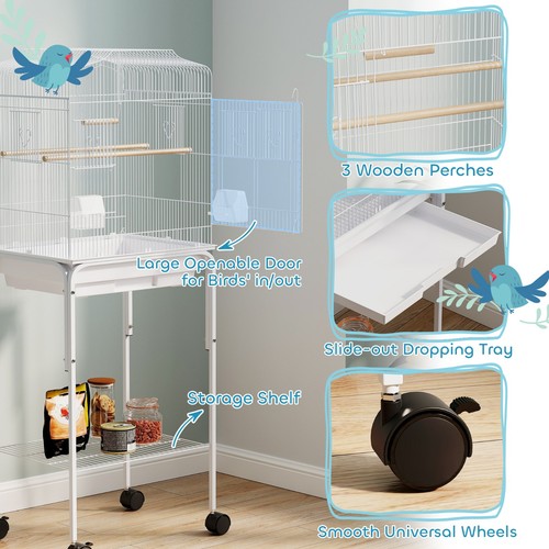 Large bird cage with - bird,
