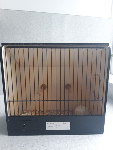 Used wooden show cage - used.,