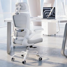 Ergonomic Office Chair - Desk