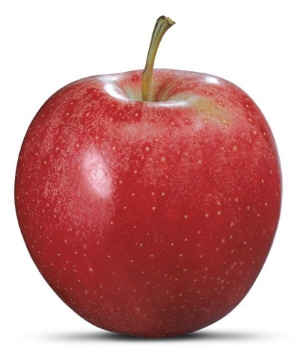 Matured gala variety - 20,