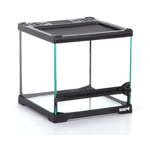 Glass terrarium vivarium - terrarium,