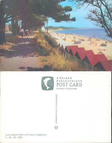 Avon beach from cliff - beach,