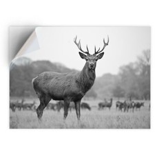1 x Vinyl Sticker A4 - BW -
