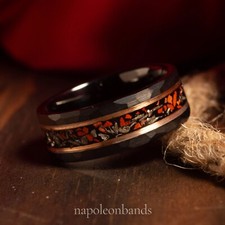 Dinosaur Bone and Meteorite