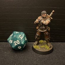 Dungeons And Dragons Human Mercenary Rogue Painted Galaad Miniatures 