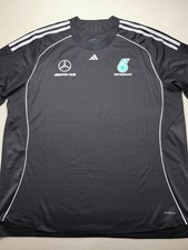 AMG MERCEDES PETRONAS F1 Size