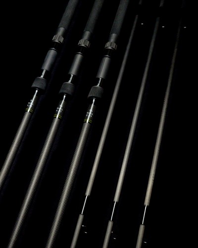 Harrison torrix carp - te,