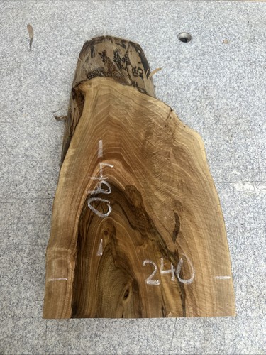Walnut live edge slab board - edge,