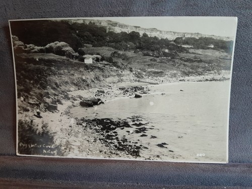 Puckaster cove niton 32371 - cove,