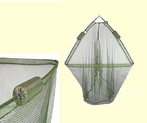 Carp pike fishing - carp,