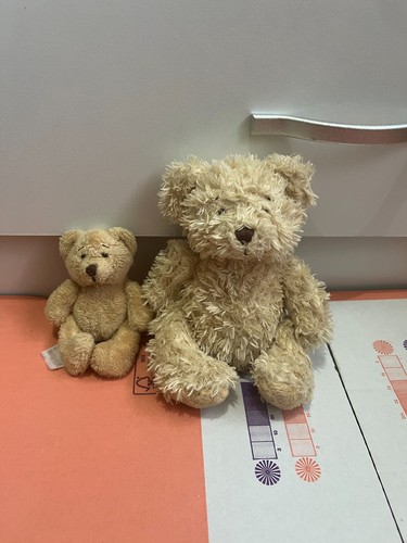 Marks spencer m s bear - &, m&s