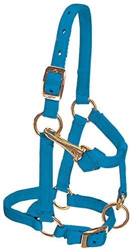 Miniature horse halter - miniature,