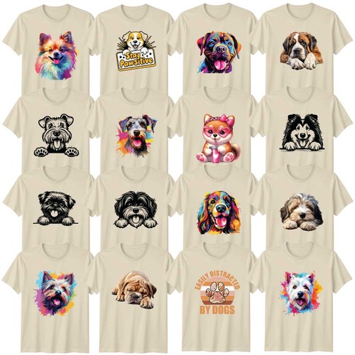 Cute dog adult - dog,