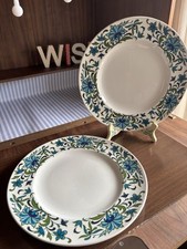 Midwinter Spanish Garden Dinner 26cm Plate X2