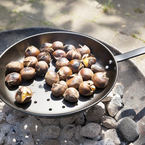 Chestnut roasting pan - pan, long