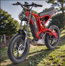 20" Fat Tyre Mountain Electric Bike Hidoes B6 48V 15.6Ah Battery E Bike