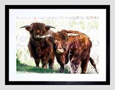 HIGHLAND COW FARM HORNS SCOTLAND BLACK FRAME FRAMED ART PRINT PICTURE B12X9018