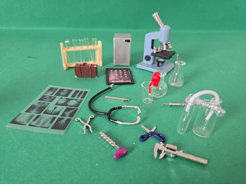 Doll house job - doll, lot