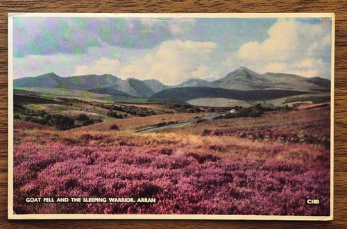 Goat fell and - fell, sleeping