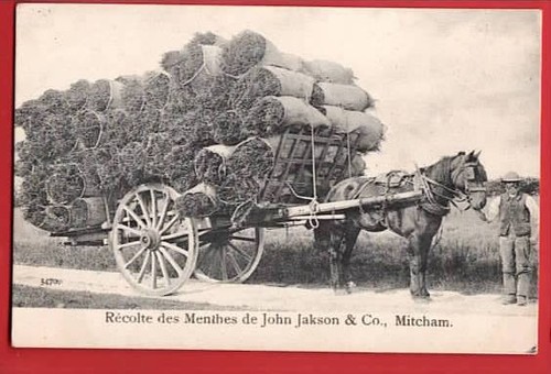 Surrey mitcham john - mitcham, jakeson