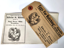 Eggs For Hatching Vintage Egg
