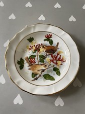 Birds Of The Hedgerow Wren