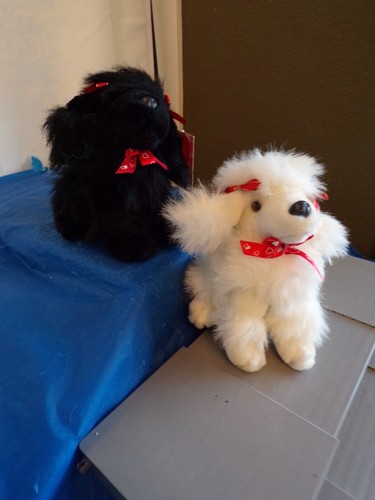 Pair valentine black white - &,