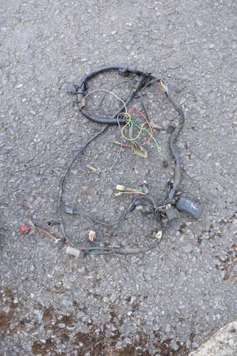 Honda ns125f 125 wiring - ns125f,