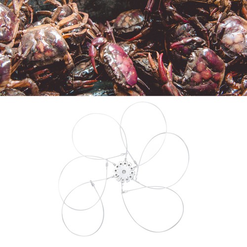 Crab snares reusable - crab,