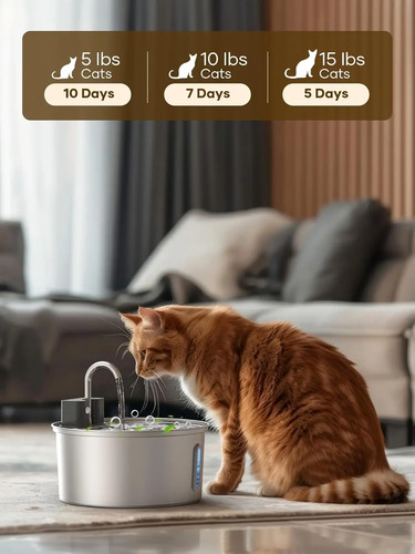 Wireless cat water fountain - cat,
