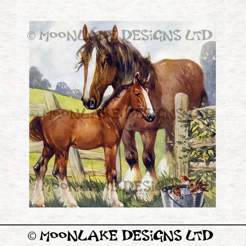 Vintage animal horse - animal,