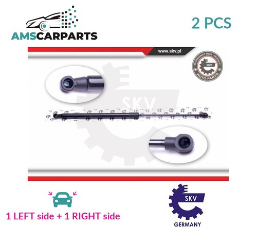 Tailgate boot struts - set, rear