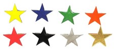 Star Pin Badge Brooch School