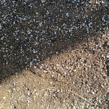 1 litre Succulent Soil Mix - Perlite - Compost - Horticultural Sand 