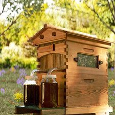 Flow Bee Hive Starter Kit –