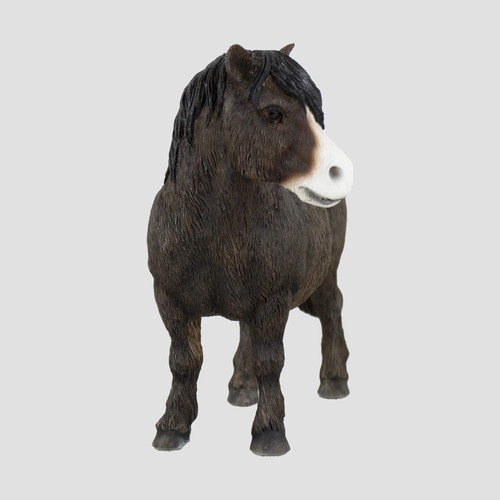 Shetland pony model - shetland, by
