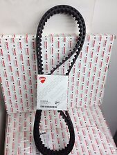 Ducati Timing Belts 1098R 73740251B Ducati Toothed Belt Genuine Ducati