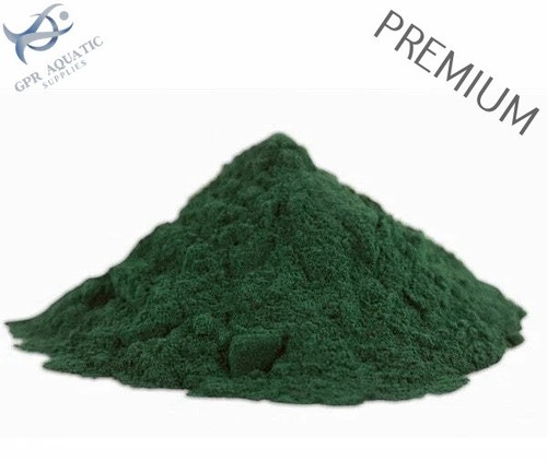 Spirulina powder high - powder,