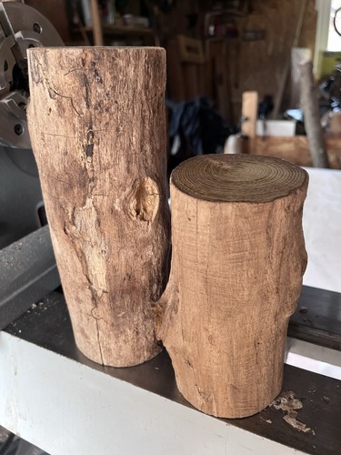 Pieces laburnum wood - 2, of