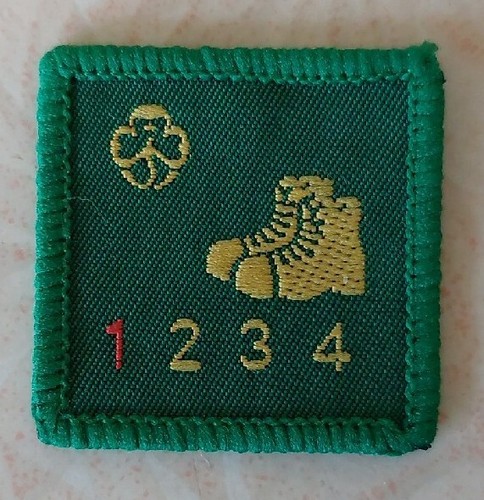 Vintage girl guide - vintage,