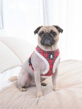 Puppia Blitzen Christmas Choke