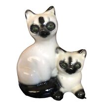 Seal Point Green Eyed Cat with