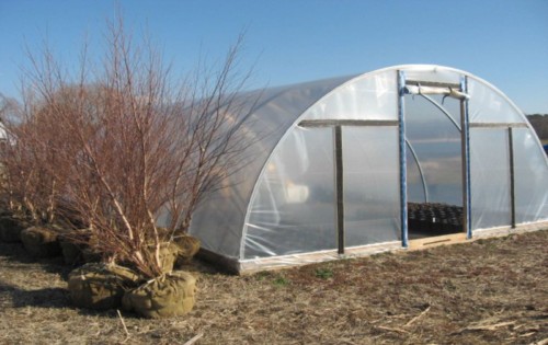 Quonset greenhouse 48 - greenhouse, x