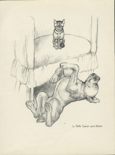Boxer and kitten vintage - and,