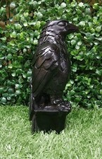 Eagle 19cm x 8cm x 8.5cm latex