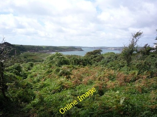 Photo 6x4 polytunnels - photo,